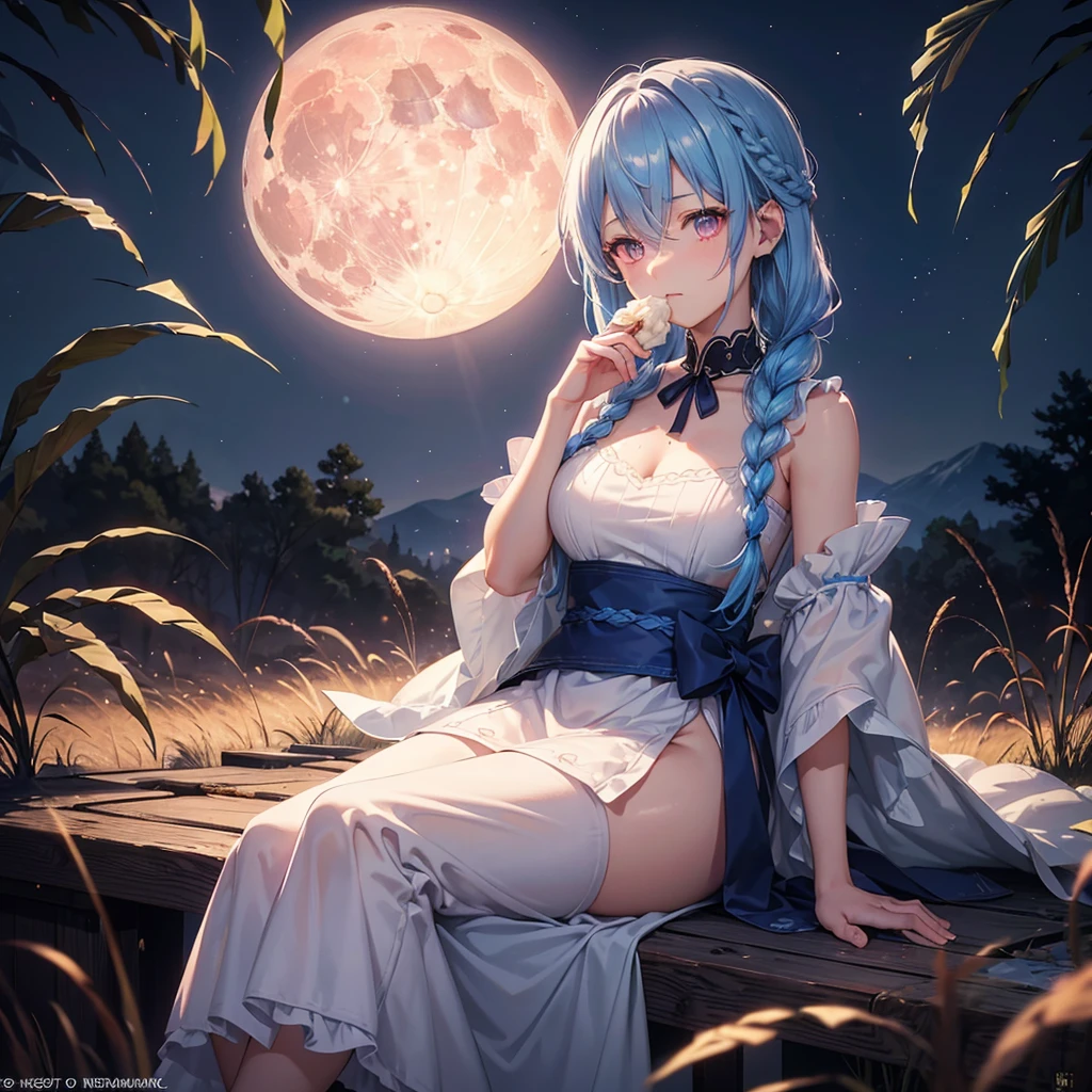 Sky blue hair, (Braided medium hair), (Pink eyes),Fair skin) ,(whole body),(One Girl),(harvest moon),(A large amount of Miscanthus sinensis in the background),(full moon),(masterpiece, Highest quality, Very detailed, Best Shadow), (Detailed Background), (Beautifully detailed face), High Contrast, (Best lighting, Very delicate and beautiful), ((Cinematic Light)), Hyper Detail,8k, Dramatic Light, Intricate details,(sitting down to eat rice dumplings)