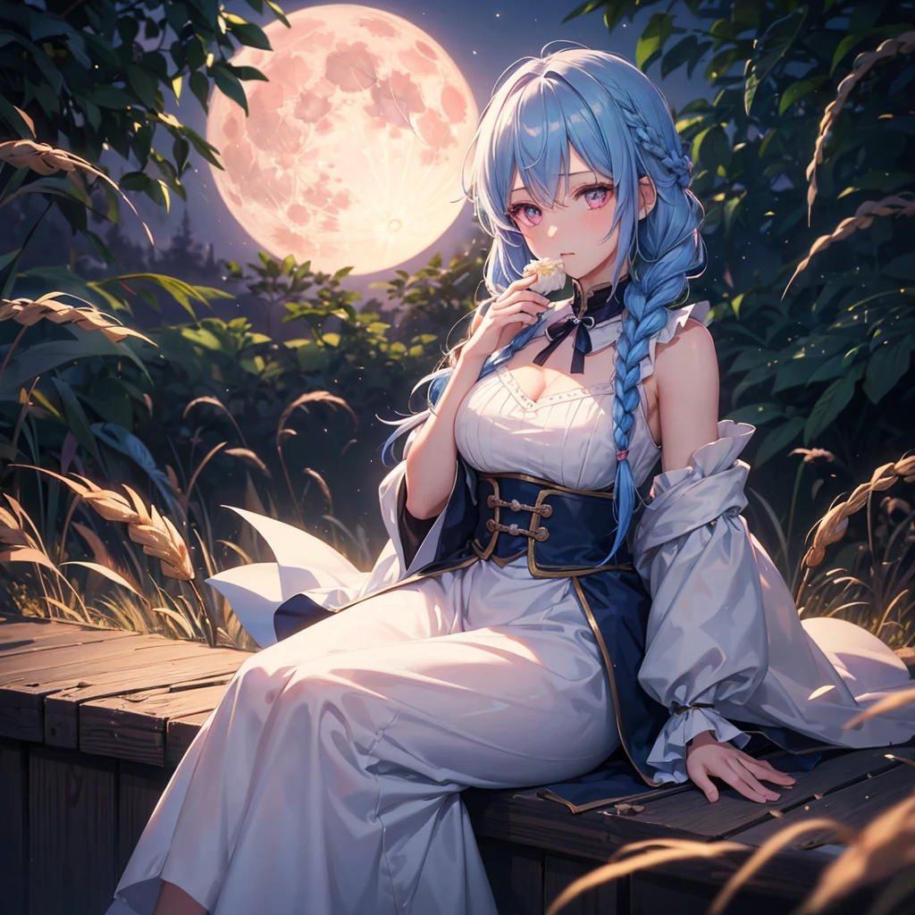 Sky blue hair, (Braided medium hair), (Pink eyes),Fair skin) ,(whole body),(One Girl),(harvest moon),(A large amount of Miscanthus sinensis in the background),(full moon),(masterpiece, Highest quality, Very detailed, Best Shadow), (Detailed Background), (Beautifully detailed face), High Contrast, (Best lighting, Very delicate and beautiful), ((Cinematic Light)), Hyper Detail,8k, Dramatic Light, Intricate details,(sitting down to eat rice dumplings)