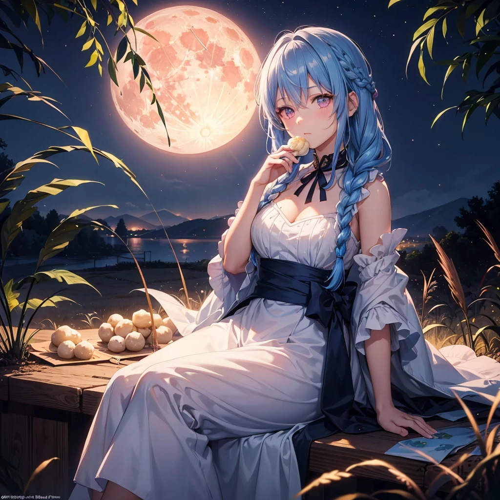 Sky blue hair, (Braided medium hair), (Pink eyes),Fair skin) ,(whole body),(One Girl),(harvest moon),(A large amount of Miscanthus sinensis in the background),(full moon),(masterpiece, Highest quality, Very detailed, Best Shadow), (Detailed Background), (Beautifully detailed face), High Contrast, (Best lighting, Very delicate and beautiful), ((Cinematic Light)), Hyper Detail,8k, Dramatic Light, Intricate details,(sitting down to eat rice dumplings)