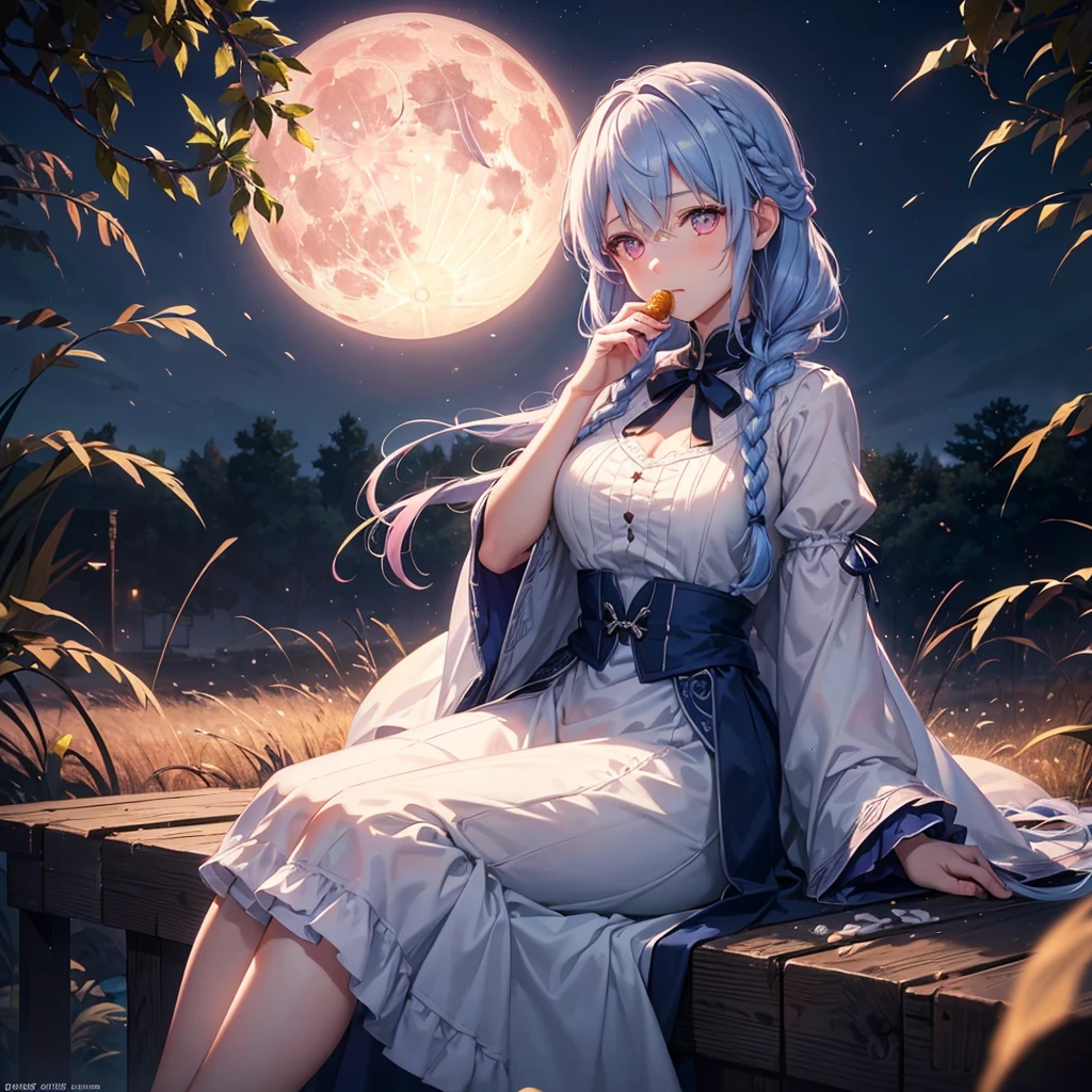 (Sky blue braided medium length hair), (Pink eyes),Fair skin)  ,(whole body),(One Girl),(harvest moon),(A large amount of Miscanthus sinensis in the background),(full moon),(masterpiece, Highest quality, Very detailed, Best Shadow), (Detailed Background), (Beautifully detailed face), High Contrast, (Best lighting, Very delicate and beautiful), ((Cinematic Light)), Hyper Detail,8k, Dramatic Light, Intricate details,(sitting down to eat rice dumplings)