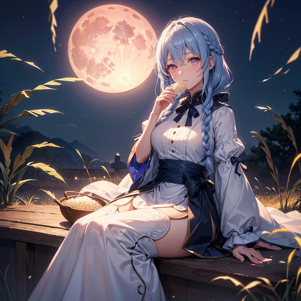 (Sky blue braided medium length hair), (Pink eyes),Fair skin) ,(whole body),(One Girl),(harvest moon),(A large amount of Miscanthus sinensis in the background),(full moon),(masterpiece, Highest quality, Very detailed, Best Shadow), (Detailed Background), (Beautifully detailed face), High Contrast, (Best lighting, Very delicate and beautiful), ((Cinematic Light)), Hyper Detail,8k, Dramatic Light, Intricate details,(sitting down to eat rice dumplings)