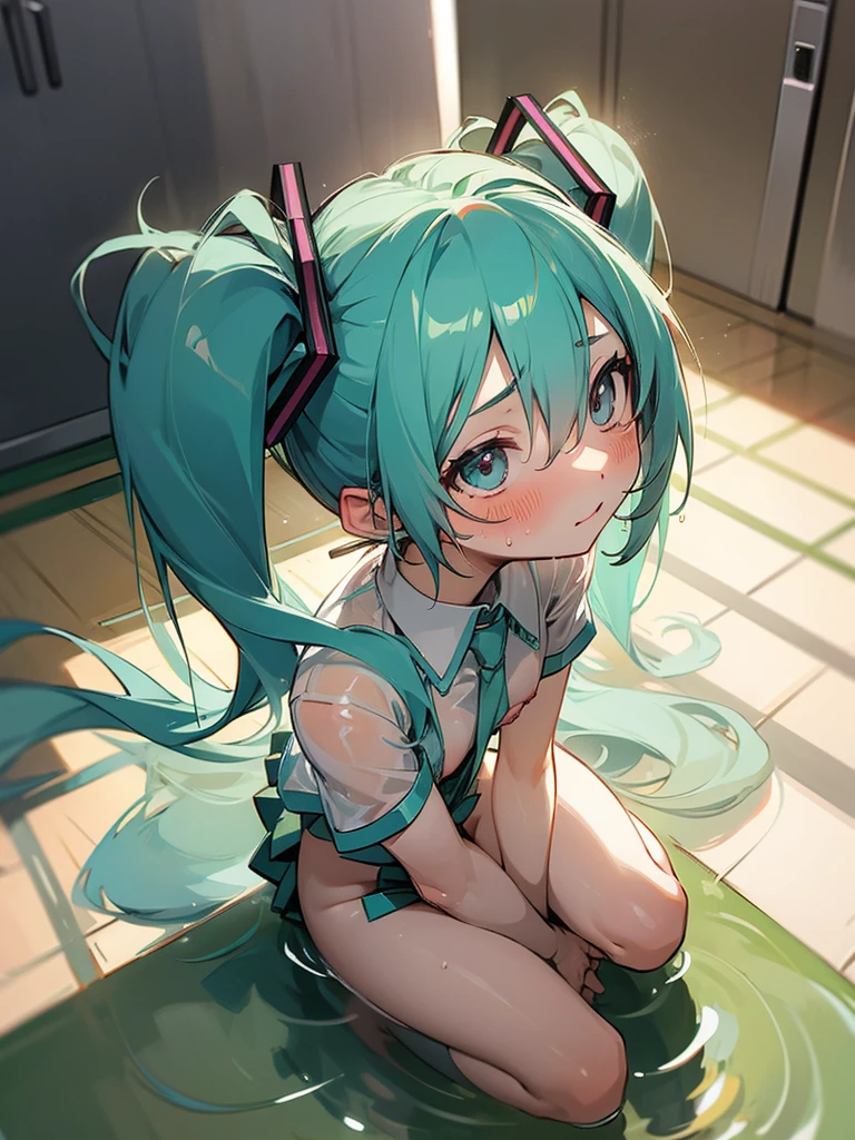 Hatsune Miku　Nipples　See-through　blush　Sweat　sit　naked　Urine　To pee