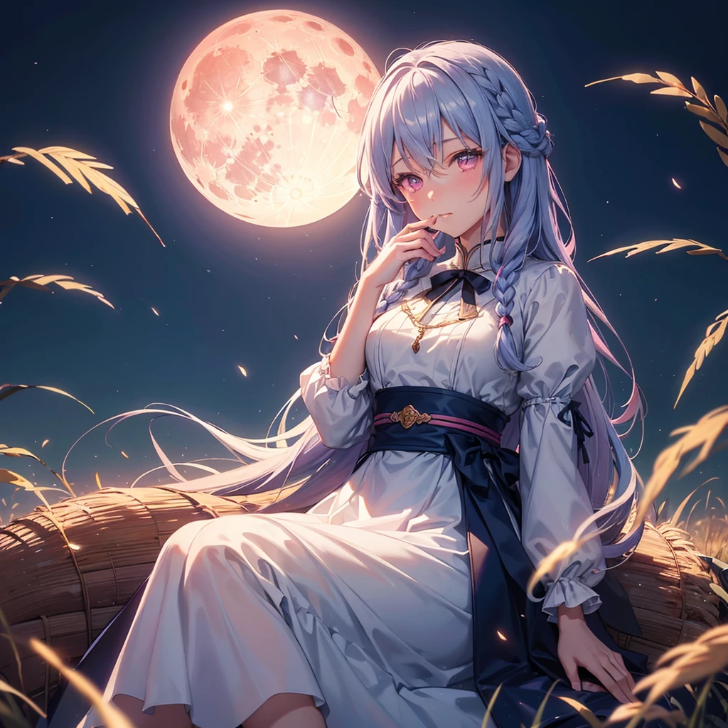 (Sky blue braided medium length hair), (Pink eyes),Fair skin) ,(whole body),(One Girl),(harvest moon),(A large amount of Miscanthus sinensis in the background),(full moon),(masterpiece, Highest quality, Very detailed, Best Shadow), (Detailed Background), (Beautifully detailed face), High Contrast, (Best lighting, Very delicate and beautiful), ((Cinematic Light)), Hyper Detail,8k, Dramatic Light, Intricate details,(sitting down to eat rice dumplings)