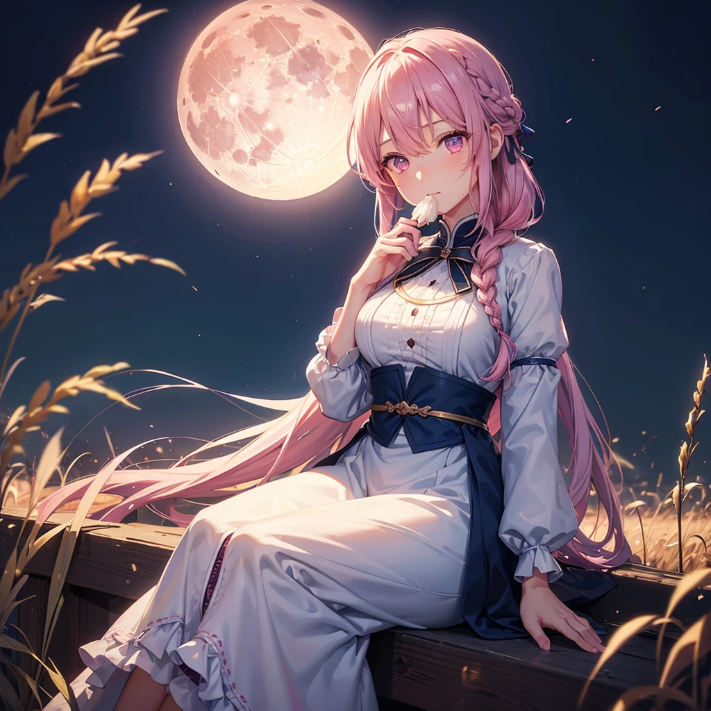 (Sky blue braided medium length hair), (Pink eyes),Fair skin) ,(whole body),(One Girl),(harvest moon),(A large amount of Miscanthus sinensis in the background),(full moon),(masterpiece, Highest quality, Very detailed, Best Shadow), (Detailed Background), (Beautifully detailed face), High Contrast, (Best lighting, Very delicate and beautiful), ((Cinematic Light)), Hyper Detail,8k, Dramatic Light, Intricate details,(sitting down to eat rice dumplings)