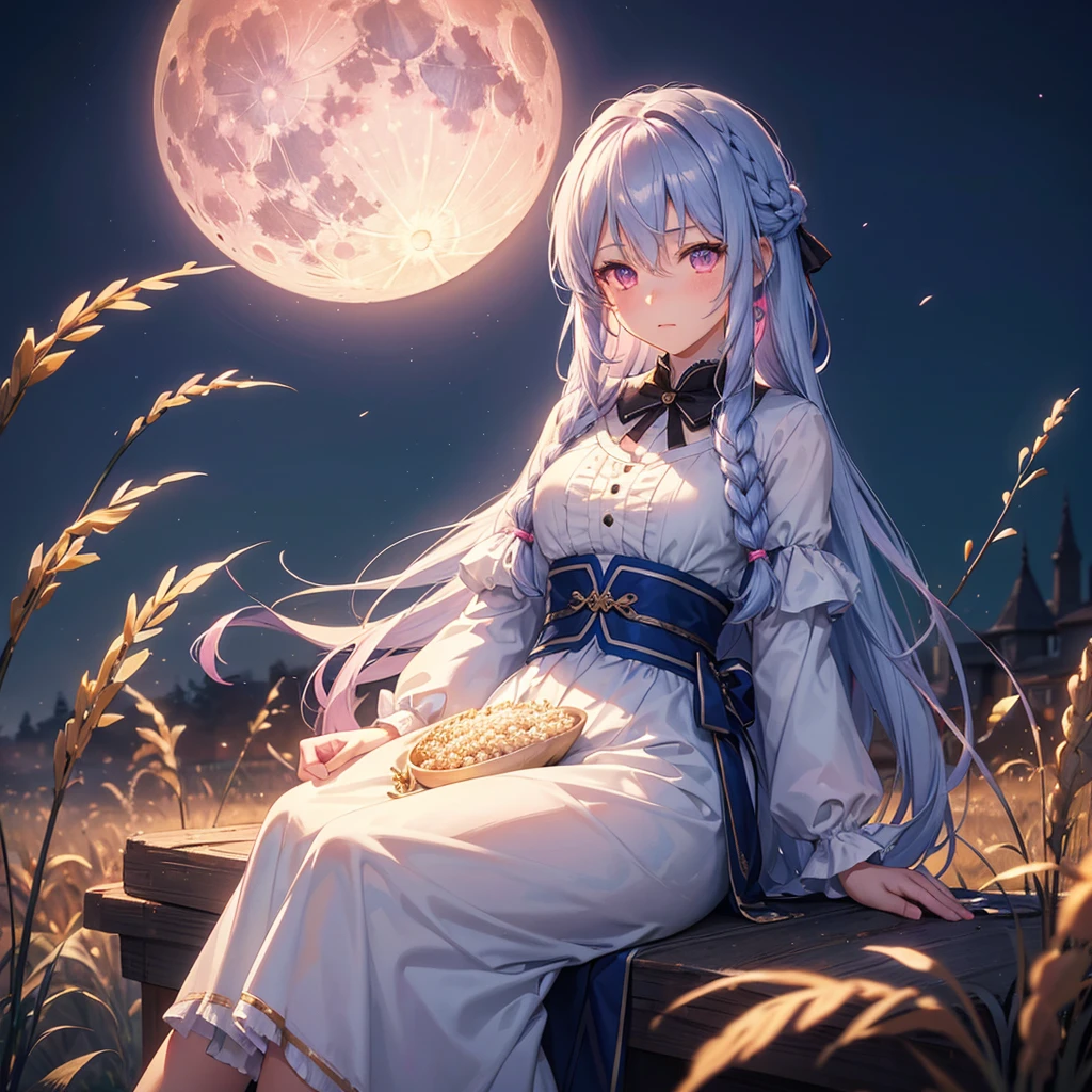 (Sky blue braided medium length hair), (Pink eyes),Fair skin) ,(whole body),(One Girl),(harvest moon),(A large amount of Miscanthus sinensis in the background),(full moon),(masterpiece, Highest quality, Very detailed, Best Shadow), (Detailed Background), (Beautifully detailed face), High Contrast, (Best lighting, Very delicate and beautiful), ((Cinematic Light)), Hyper Detail,8k, Dramatic Light, Intricate details,(sitting down to eat rice dumplings)