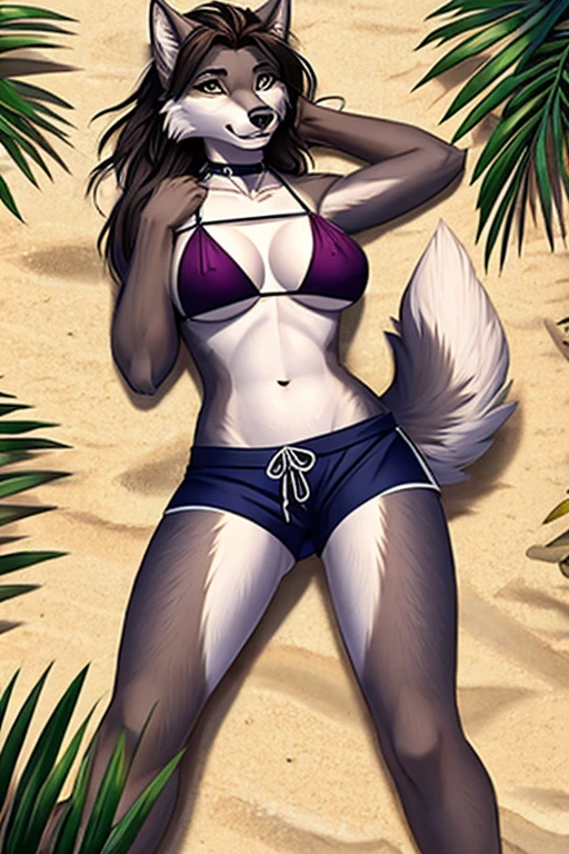 wolf bikini wearing short beach shorts 