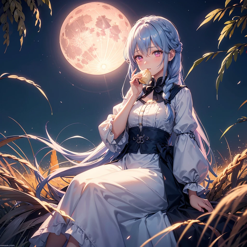 (Sky blue braided medium length hair), (Pink eyes),Fair skin) ,(whole body),(One Girl),(harvest moon),(A large amount of Miscanthus sinensis in the background),(full moon),(masterpiece, Highest quality, Very detailed, Best Shadow), (Detailed Background), (Beautifully detailed face), High Contrast, (Best lighting, Very delicate and beautiful), ((Cinematic Light)), Hyper Detail,8k, Dramatic Light, Intricate details,(sitting down to eat rice dumplings)