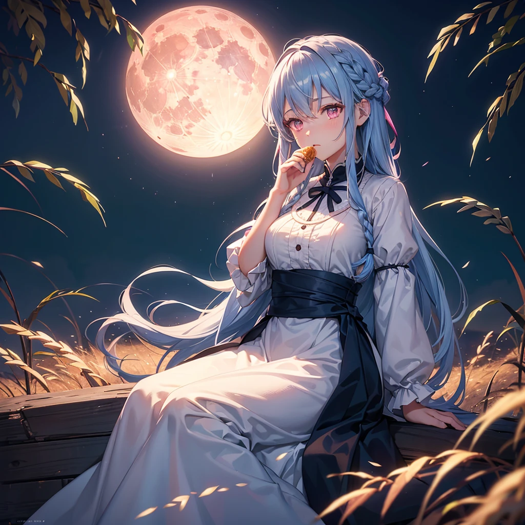 (Sky blue braided medium length hair), (Pink eyes),Fair skin)  ,(whole body),(One Girl),(harvest moon),(A large amount of Miscanthus sinensis in the background),(full moon),(masterpiece, Highest quality, Very detailed, Best Shadow), (Detailed Background), (Beautifully detailed face), High Contrast, (Best lighting, Very delicate and beautiful), ((Cinematic Light)), Hyper Detail,8k, Dramatic Light, Intricate details,(sitting down to eat rice dumplings)
