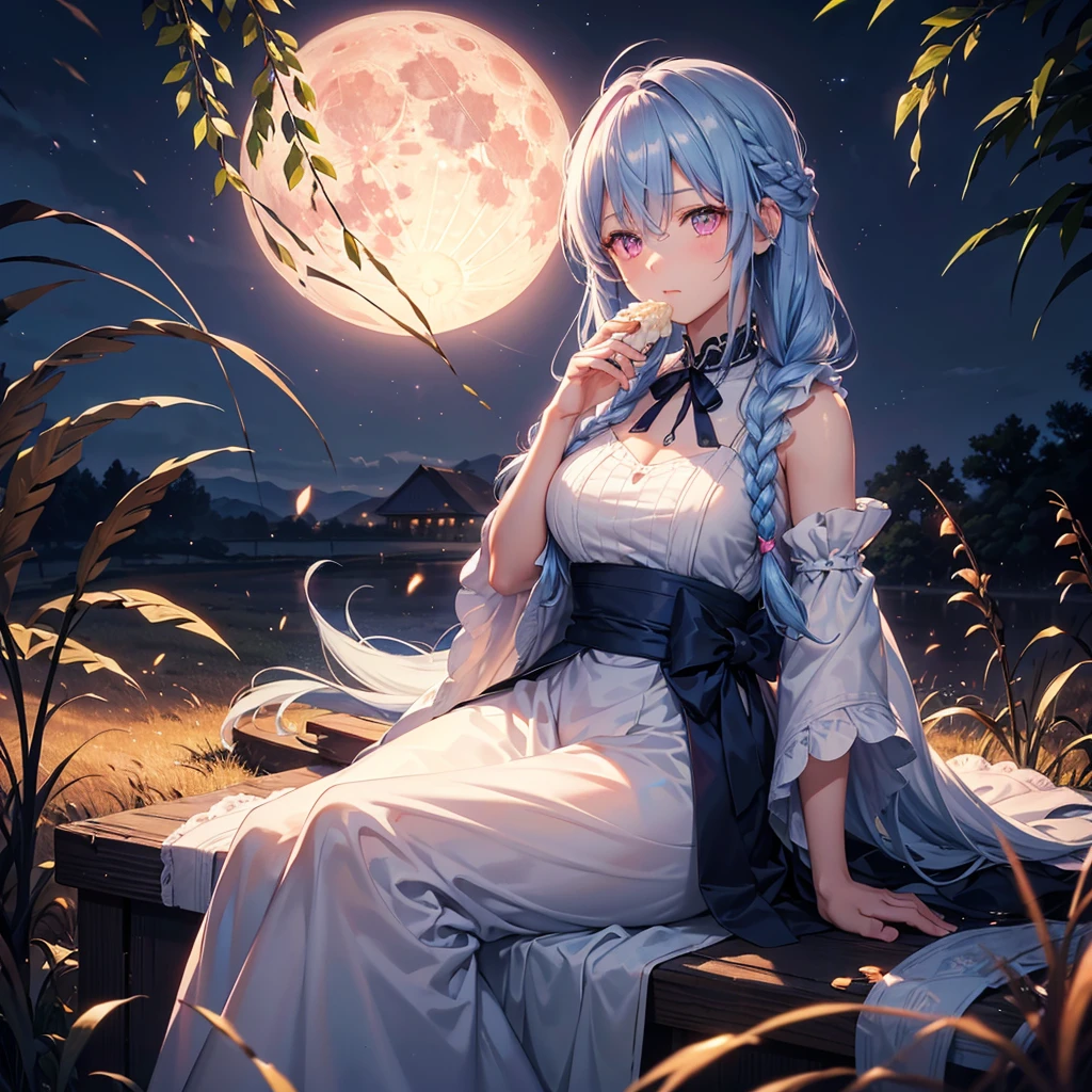 (Sky blue braided medium length hair), (Pink eyes),Fair skin)  ,(whole body),(One Girl),(harvest moon),(A large amount of Miscanthus sinensis in the background),(full moon),(masterpiece, Highest quality, Very detailed, Best Shadow), (Detailed Background), (Beautifully detailed face), High Contrast, (Best lighting, Very delicate and beautiful), ((Cinematic Light)), Hyper Detail,8k, Dramatic Light, Intricate details,(sitting down to eat rice dumplings)