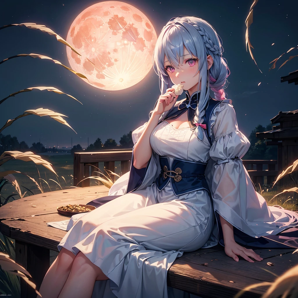 (Sky blue braided medium length hair), (Pink eyes),(Fair skin) ,(whole body),(One Girl),(harvest moon),(A large amount of Miscanthus sinensis in the background),(full moon),(masterpiece, Highest quality, Very detailed, Best Shadow), (Detailed Background), (Beautifully detailed face), High Contrast, (Best lighting, Very delicate and beautiful), ((Cinematic Light)), Hyper Detail,8k, Dramatic Light, Intricate details,(sitting down to eat rice dumplings)