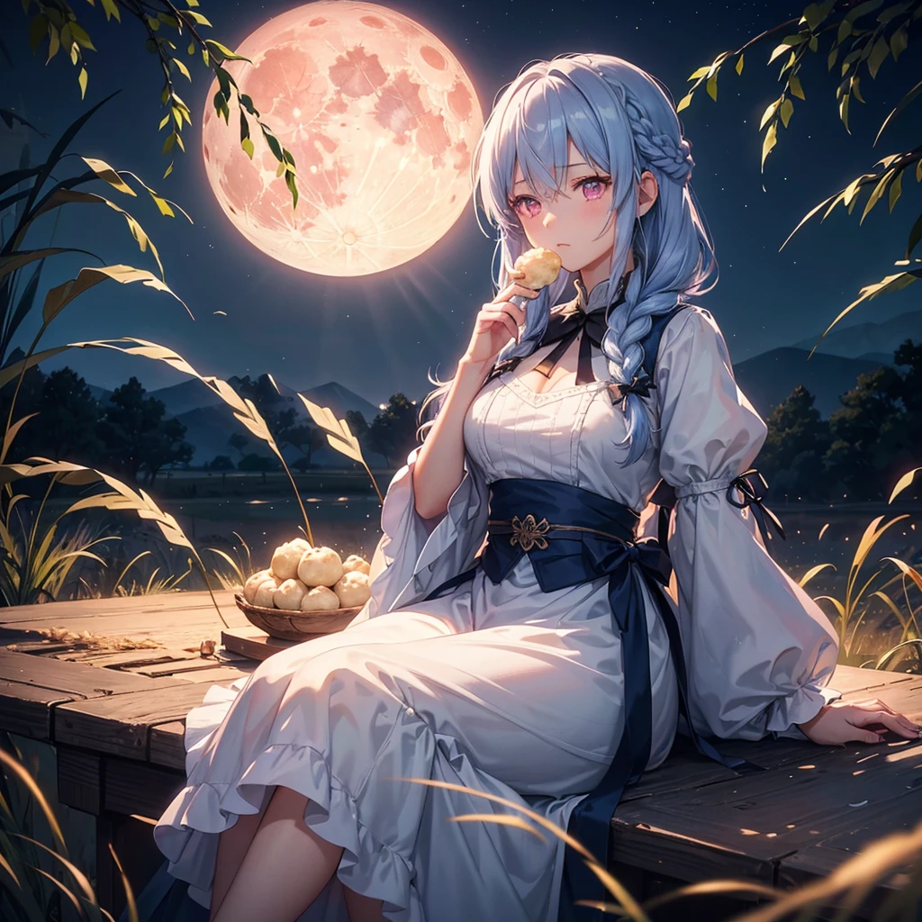 (Sky blue braided medium length hair), (Pink eyes),(Fair skin)  ,(whole body),(One Girl),(harvest moon),(A large amount of Miscanthus sinensis in the background),(full moon),(masterpiece, Highest quality, Very detailed, Best Shadow), (Detailed Background), (Beautifully detailed face), High Contrast, (Best lighting, Very delicate and beautiful), ((Cinematic Light)), Hyper Detail,8k, Dramatic Light, Intricate details,(sitting down to eat rice dumplings)