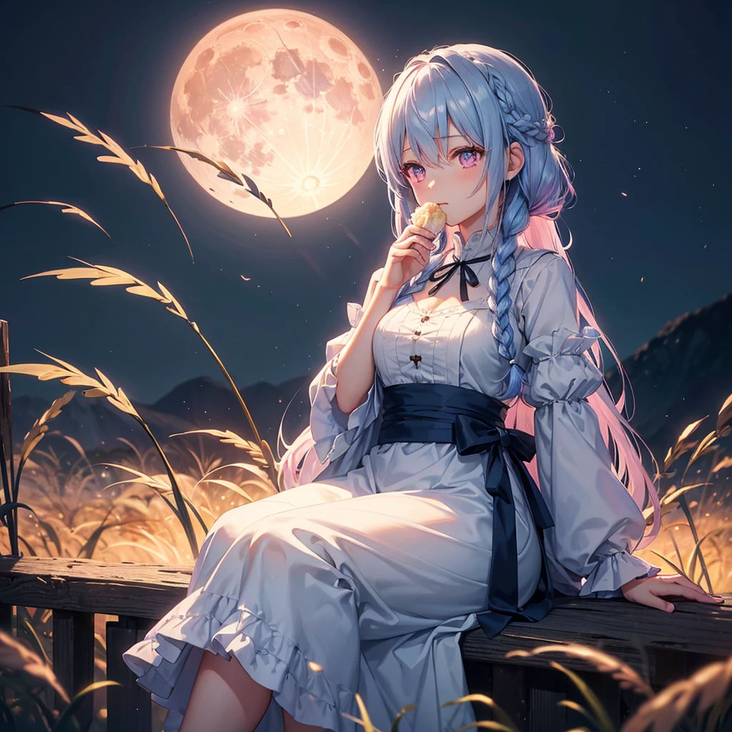 (Sky blue braided medium length hair), (Pink eyes),(Fair skin)  ,(whole body),(One Girl),(harvest moon),(A large amount of Miscanthus sinensis in the background),(full moon),(masterpiece, Highest quality, Very detailed, Best Shadow), (Detailed Background), (Beautifully detailed face), High Contrast, (Best lighting, Very delicate and beautiful), ((Cinematic Light)), Hyper Detail,8k, Dramatic Light, Intricate details,(sitting down to eat rice dumplings)