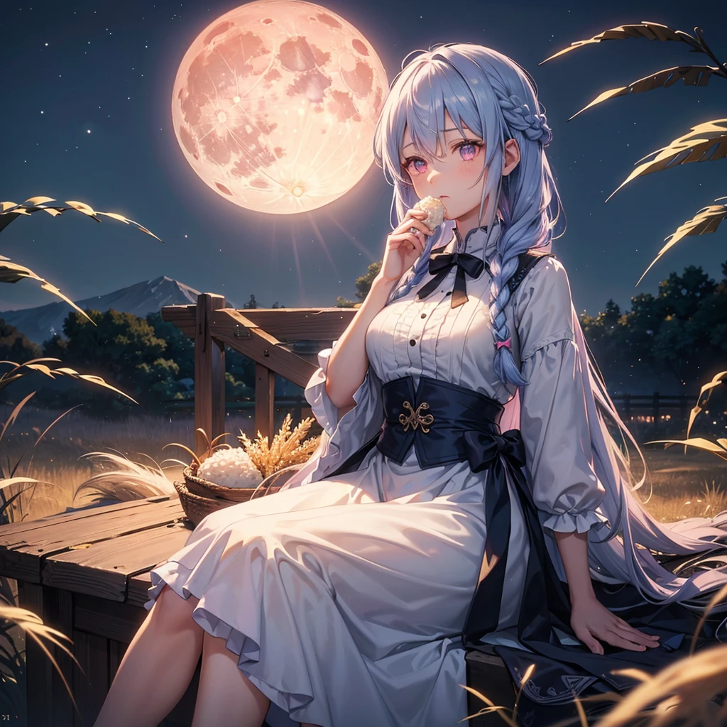 (Sky blue braided medium length hair), (Pink eyes),(Fair skin)  ,(whole body),(One Girl),(harvest moon),(A large amount of Miscanthus sinensis in the background),(full moon),(masterpiece, Highest quality, Very detailed, Best Shadow), (Detailed Background), (Beautifully detailed face), High Contrast, (Best lighting, Very delicate and beautiful), ((Cinematic Light)), Hyper Detail,8k, Dramatic Light, Intricate details,(sitting down to eat rice dumplings)