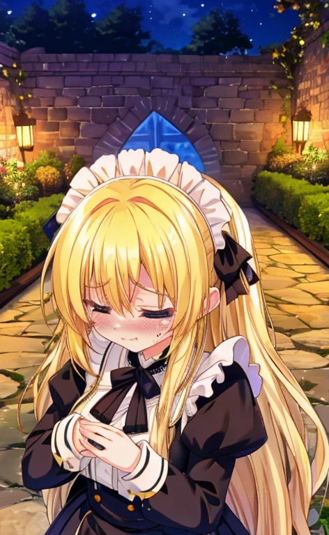 Beautiful long blonde hair Girl in black maid outfit Long sleeve Embarrassing Tears overflow from my eyes Garden at Night dogeza