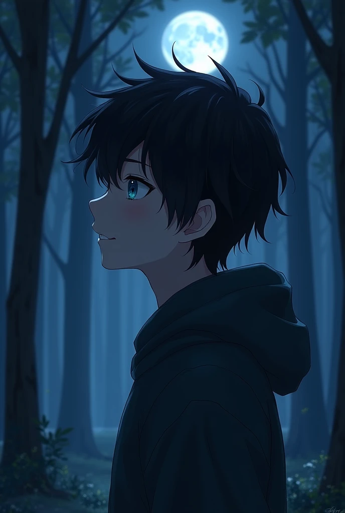 1boy, masterpiece, best quality, 4k, uhd, from side, forest, black hair, azure eyes, young male, night time, looking at moon, small smil