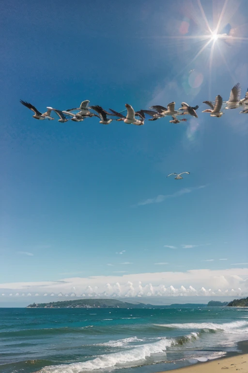 The beautiful view with clear skies on the coast in the afternoon filled with flying birds is truly amazing