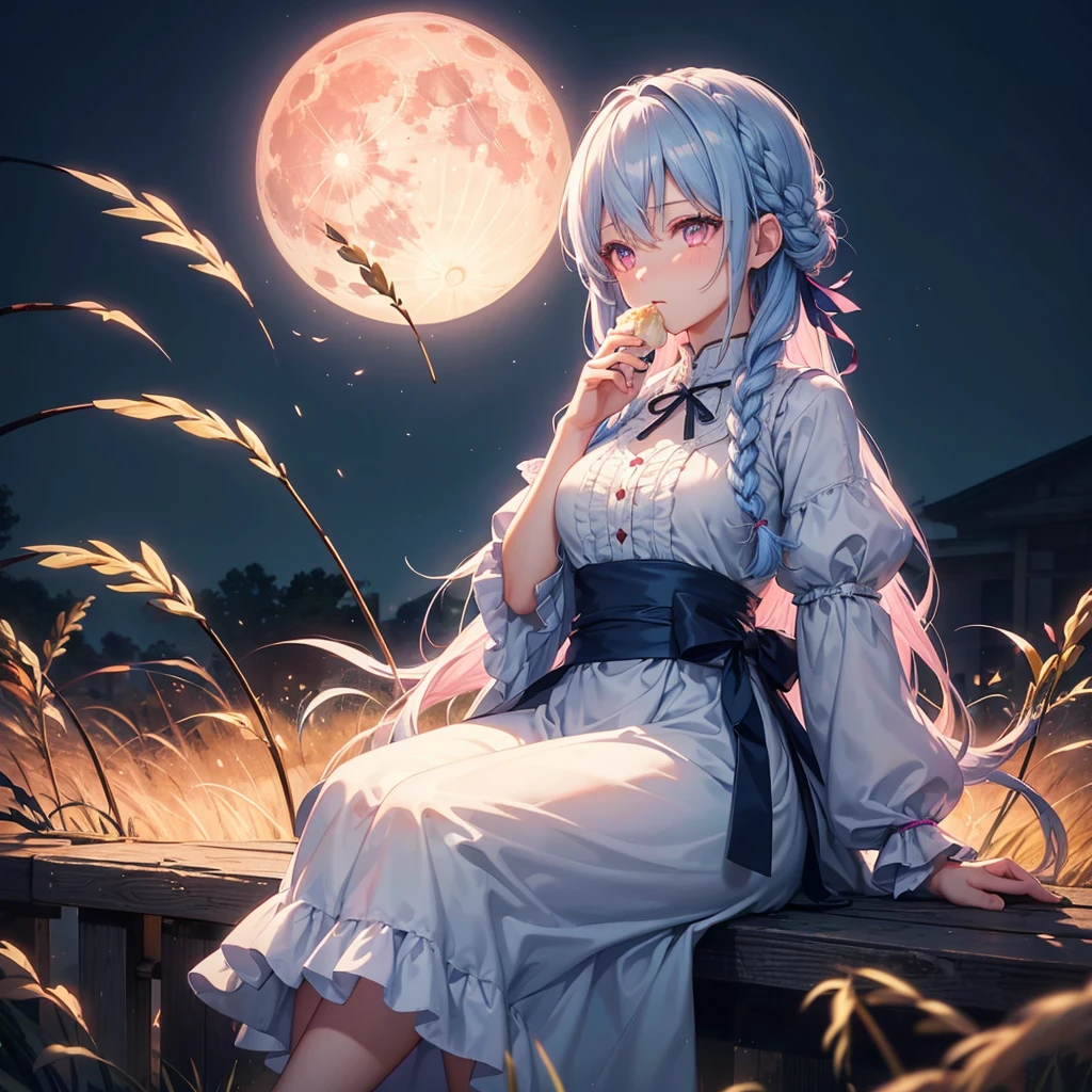 (Sky blue braided medium length hair), (Pink eyes),(Fair skin)  ,(whole body),(One Girl),(harvest moon),(A large amount of Miscanthus sinensis in the background),(full moon),(masterpiece, Highest quality, Very detailed, Best Shadow), (Detailed Background), (Beautifully detailed face), High Contrast, (Best lighting, Very delicate and beautiful), ((Cinematic Light)), Hyper Detail,8k, Dramatic Light, Intricate details,(sitting down to eat rice dumplings)