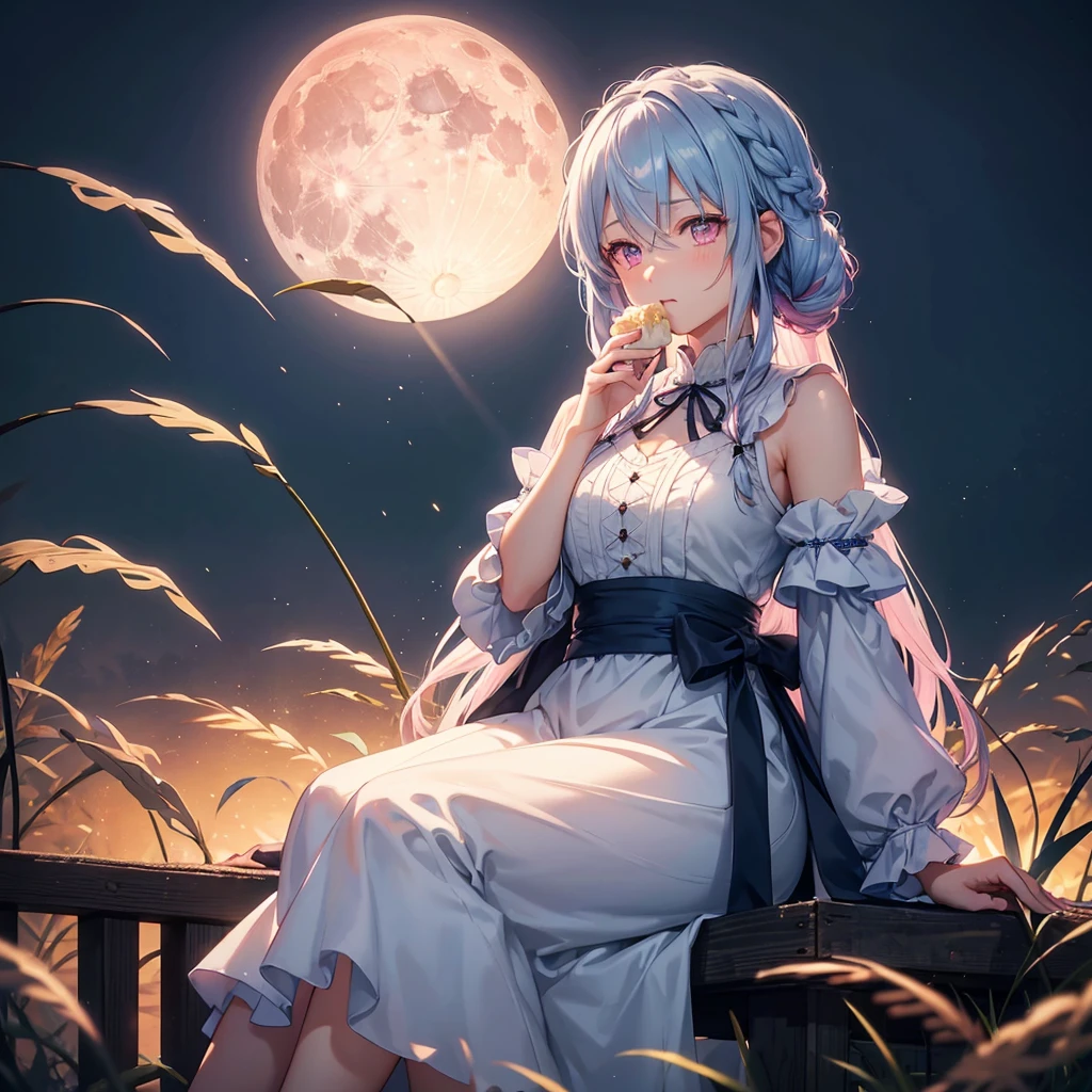 (Sky blue braided medium length hair), (Pink eyes),(Fair skin) ,(whole body),(One Girl),(harvest moon),(A large amount of Miscanthus sinensis in the background),(full moon),(masterpiece, Highest quality, Very detailed, Best Shadow), (Detailed Background), (Beautifully detailed face), High Contrast, (Best lighting, Very delicate and beautiful), ((Cinematic Light)), Hyper Detail,8k, Dramatic Light, Intricate details,(sitting down to eat rice dumplings)