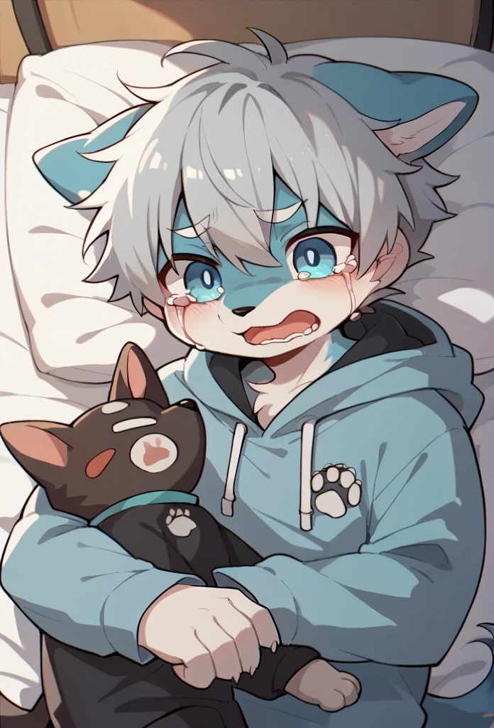 (Light blue fur,Gray Hair,)participate,Footprint clothes,hoodie clothes,dog,cry,大声でcry,Tears galore,(Light blue fur,Gray Hair,boy)bed(Sky Blue Fur,Gray Hair女の子),