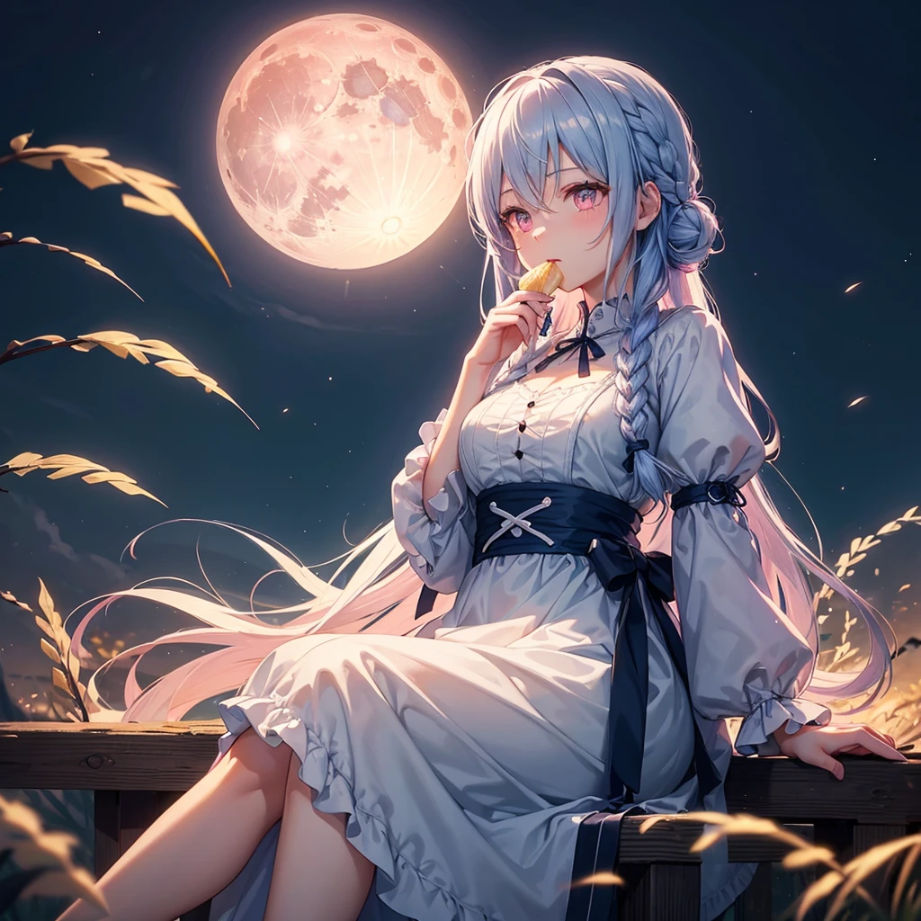 (Sky blue braided medium length hair), (Pink eyes),(Fair skin) ,(whole body),(One Girl),(harvest moon),(A large amount of Miscanthus sinensis in the background),(full moon),(masterpiece, Highest quality, Very detailed, Best Shadow), (Detailed Background), (Beautifully detailed face), High Contrast, (Best lighting, Very delicate and beautiful), ((Cinematic Light)), Hyper Detail,8k, Dramatic Light, Intricate details,(sitting down to eat rice dumplings)