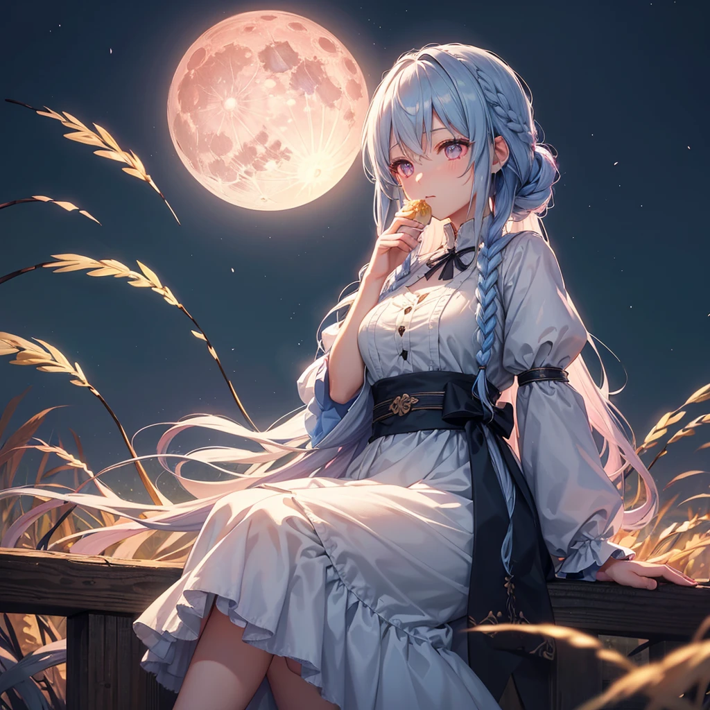 (Sky blue braided medium length hair), (Pink eyes),(Fair skin)  ,(whole body),(One Girl),(harvest moon),(A large amount of Miscanthus sinensis in the background),(full moon),(masterpiece, Highest quality, Very detailed, Best Shadow), (Detailed Background), (Beautifully detailed face), High Contrast, (Best lighting, Very delicate and beautiful), ((Cinematic Light)), Hyper Detail,8k, Dramatic Light, Intricate details,(sitting down to eat rice dumplings)
