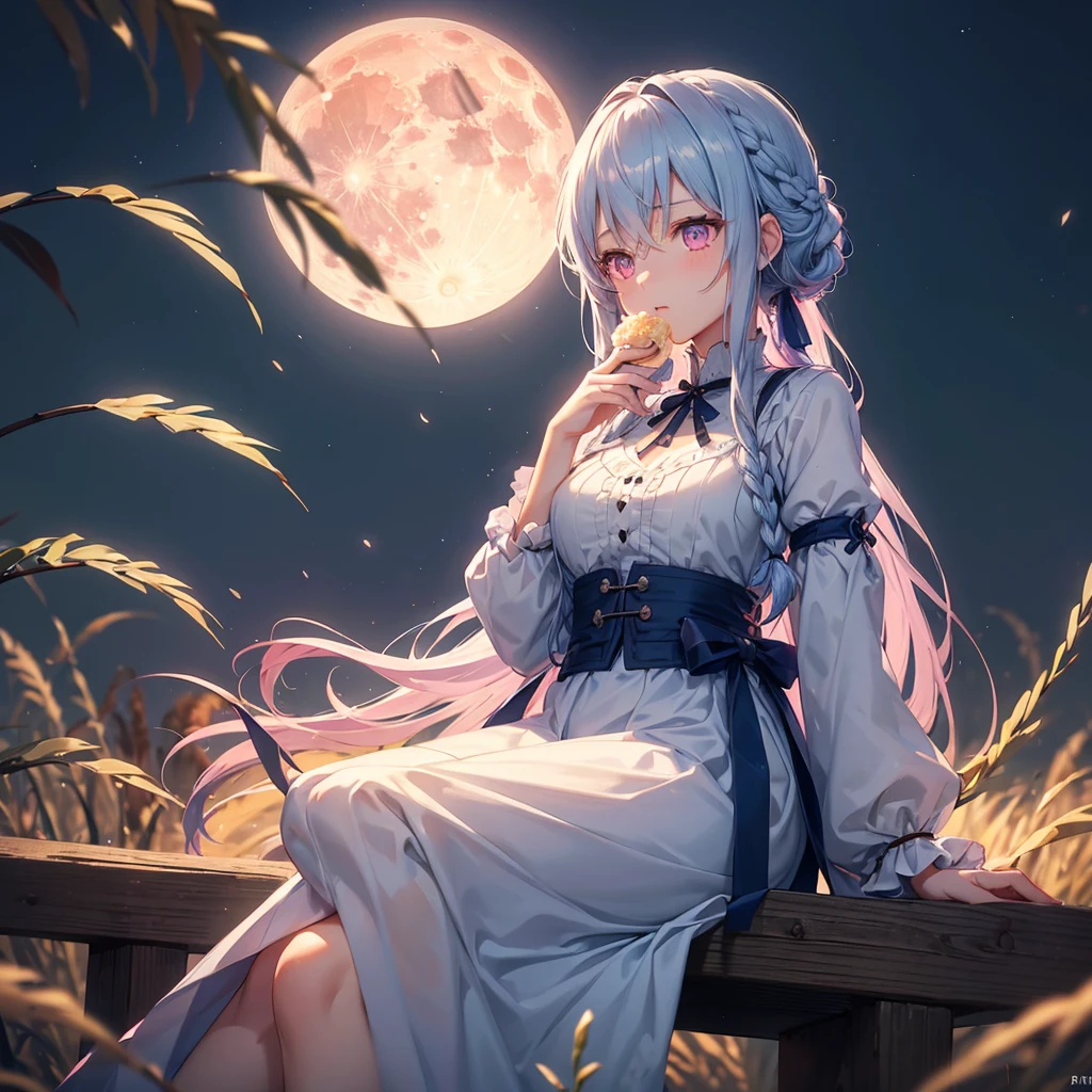 (Sky blue braided medium length hair), (Pink eyes),(Fair skin)  ,(whole body),(One Girl),(harvest moon),(A large amount of Miscanthus sinensis in the background),(full moon),(masterpiece, Highest quality, Very detailed, Best Shadow), (Detailed Background), (Beautifully detailed face), High Contrast, (Best lighting, Very delicate and beautiful), ((Cinematic Light)), Hyper Detail,8k, Dramatic Light, Intricate details,(sitting down to eat rice dumplings)