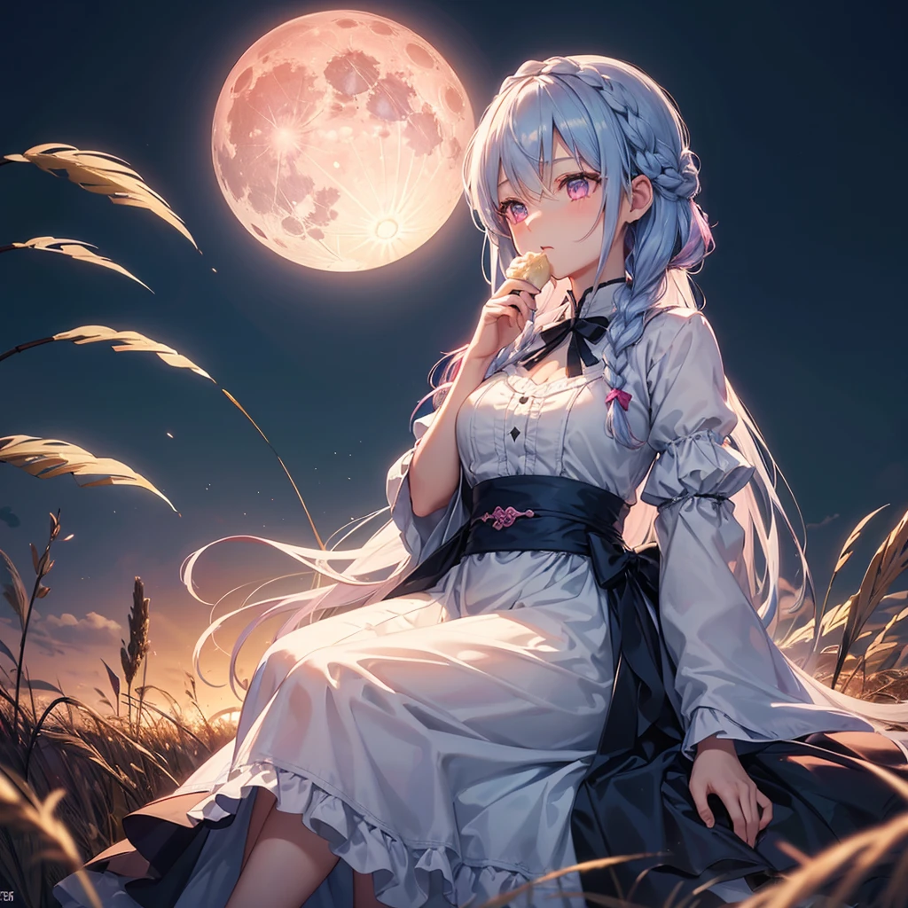 (Sky blue braided medium length hair), (Pink eyes),(Fair skin) ,(whole body),(One Girl),(harvest moon),(A large amount of Miscanthus sinensis in the background),(full moon),(masterpiece, Highest quality, Very detailed, Best Shadow), (Detailed Background), (Beautifully detailed face), High Contrast, (Best lighting, Very delicate and beautiful), ((Cinematic Light)), Hyper Detail,8k, Dramatic Light, Intricate details,(sitting down to eat rice dumplings)
