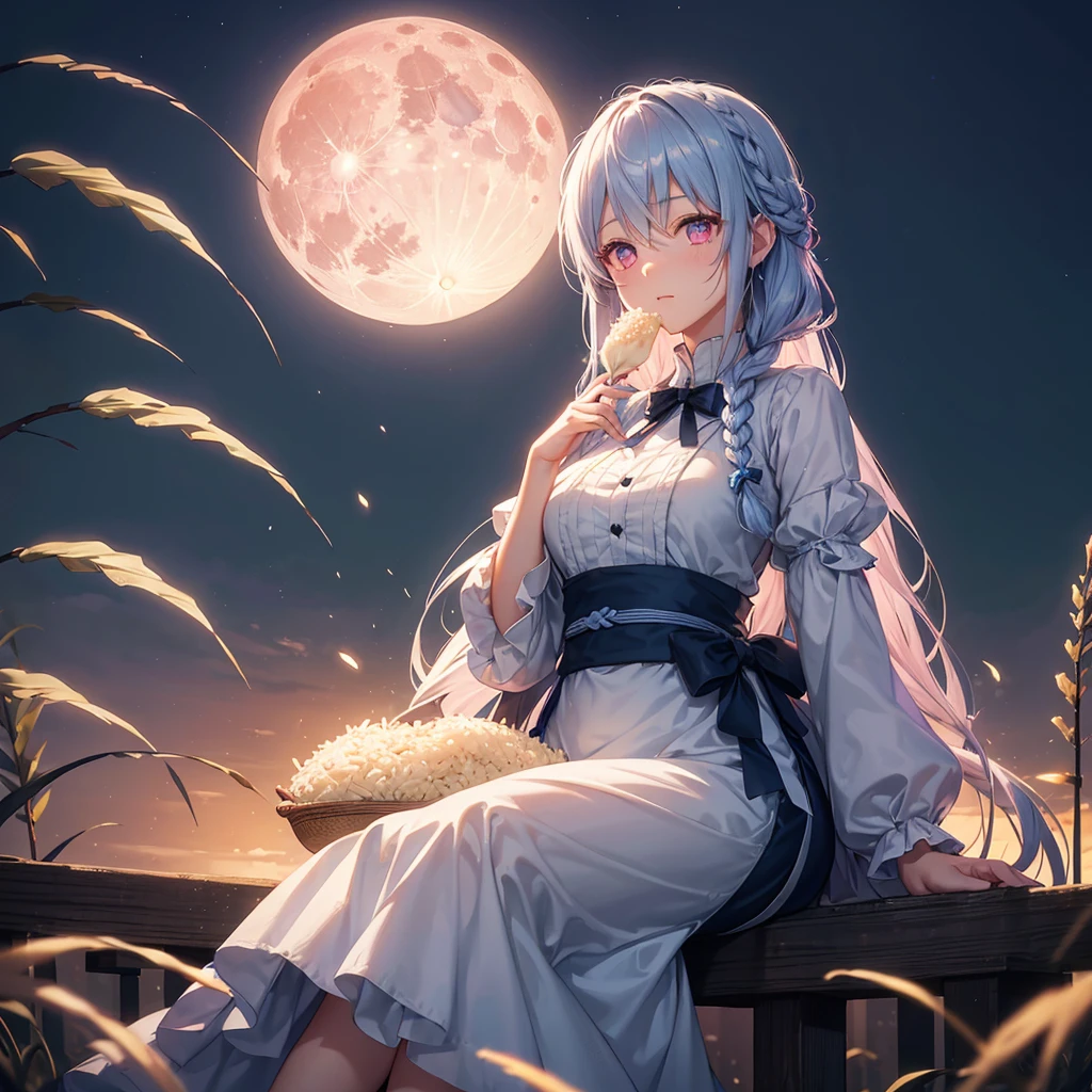 (Sky blue braided medium length hair), (Pink eyes),(Fair skin) ,(whole body),(One Girl),(harvest moon),(A large amount of Miscanthus sinensis in the background),(full moon),(masterpiece, Highest quality, Very detailed, Best Shadow), (Detailed Background), (Beautifully detailed face), High Contrast, (Best lighting, Very delicate and beautiful), ((Cinematic Light)), Hyper Detail,8k, Dramatic Light, Intricate details,(sitting down to eat rice dumplings)