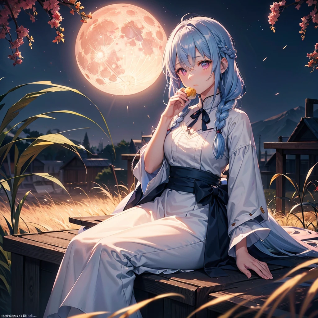 (Sky blue braided medium length hair), (Pink eyes),(Fair skin) ,(whole body),(One Girl),(harvest moon),(A large amount of Miscanthus sinensis in the background),(full moon),(masterpiece, Highest quality, Very detailed, Best Shadow), (Detailed Background), (Beautifully detailed face), High Contrast, (Best lighting, Very delicate and beautiful), ((Cinematic Light)), Hyper Detail,8k, Dramatic Light, Intricate details,(sitting down to eat rice dumplings)