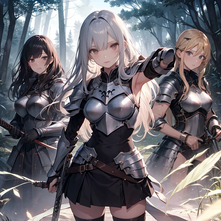 A group of female knight, (in forest), various hair styles, harem, wearing armored clothes, metal armor, night, details face, , short skirt, seducing, sword, showing armpits, sleeveless