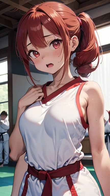 mastute piece,Best Quality,insanely detailed,8k cg,nsfw,
(shoot upper body:1.3),
(1girls:1.3),standing,looking at viewr,body in front,(arms behind back:1.4),(karate uniform:1.4,doges:1.4),karate、(bare breasts:1.2),BREAK,
blush,shy,(ecstasy face),(trembling:1.2),BREAK,(light red hair:1.3),
BREAK,
perfect breasts,perfect teats,(open mouth:0.9),(large breasts:1.2),
(karate-dojo),karate道場、