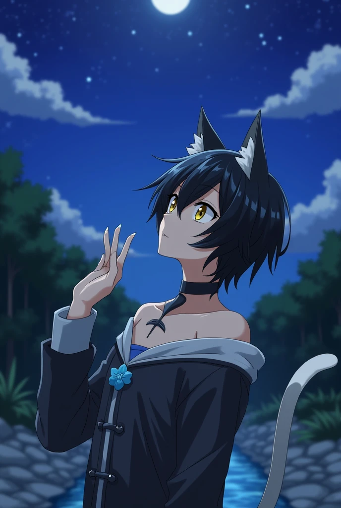 score_9,score_8_up,score_7_up,score_6_up, source_anime, 1boy, animal ears, solo, cat ears, cat tail, black hair, short hair, yellow eyes, hand up, body fur, blue flower, choker, closed mouth, furry, long sleeves, collarbone, cat boy, nape,
claws, off shoulder,
from below,
full body, looking to the side,
depth of field, blurry, foreshortening,
dappled moonlight, outdoors, stream, nature, scenery, moonlight, night sky, nape, reflective water, bioluminescence,
masterpiece, best quality, very aesthetic, absurdres
