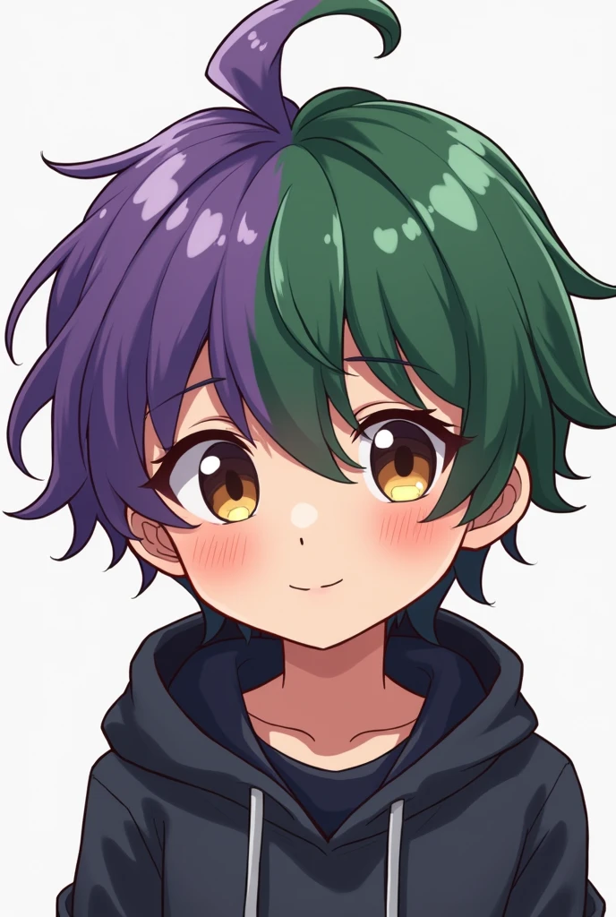 I want you to generate an image of a boy with half green half purple hair and a girl with brown hair and brown eyes cartoon style