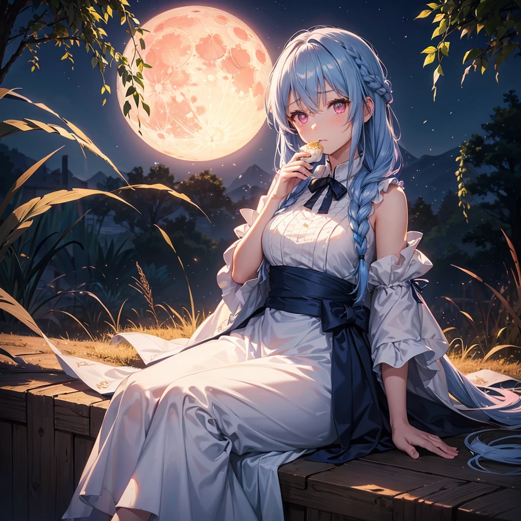 (Sky blue braided medium length hair), (Pink eyes),(Fair skin) ,(whole body),(One Girl),(harvest moon),(A large amount of Miscanthus sinensis in the background),(full moon),(masterpiece, Highest quality, Very detailed, Best Shadow), (Detailed Background), (Beautifully detailed face), High Contrast, (Best lighting, Very delicate and beautiful), ((Cinematic Light)), Hyper Detail,8k, Dramatic Light, Intricate details,(sitting down to eat rice dumplings)