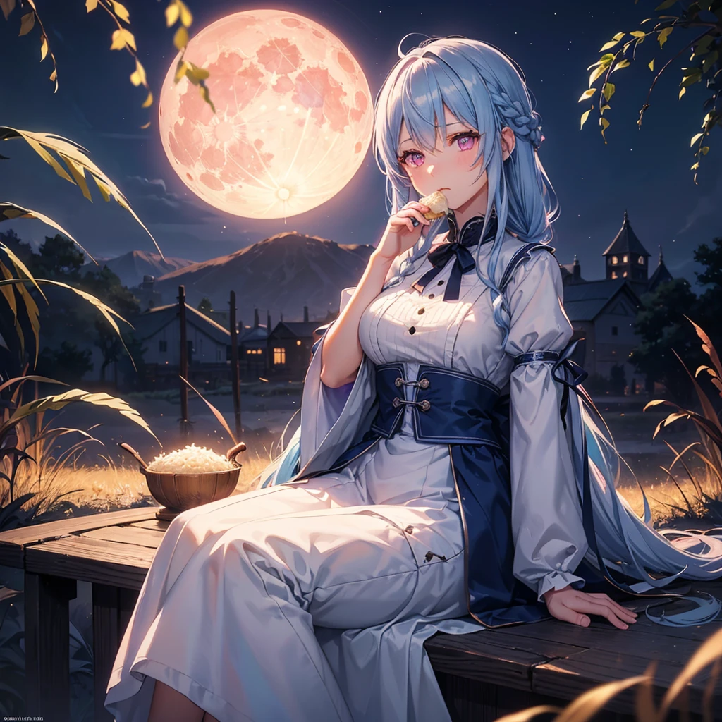 (Sky blue braided medium length hair), (Pink eyes),(Fair skin) ,(whole body),(One Girl),(harvest moon),(A large amount of Miscanthus sinensis in the background),(full moon),(masterpiece, Highest quality, Very detailed, Best Shadow), (Detailed Background), (Beautifully detailed face), High Contrast, (Best lighting, Very delicate and beautiful), ((Cinematic Light)), Hyper Detail,8k, Dramatic Light, Intricate details,(sitting down to eat rice dumplings)