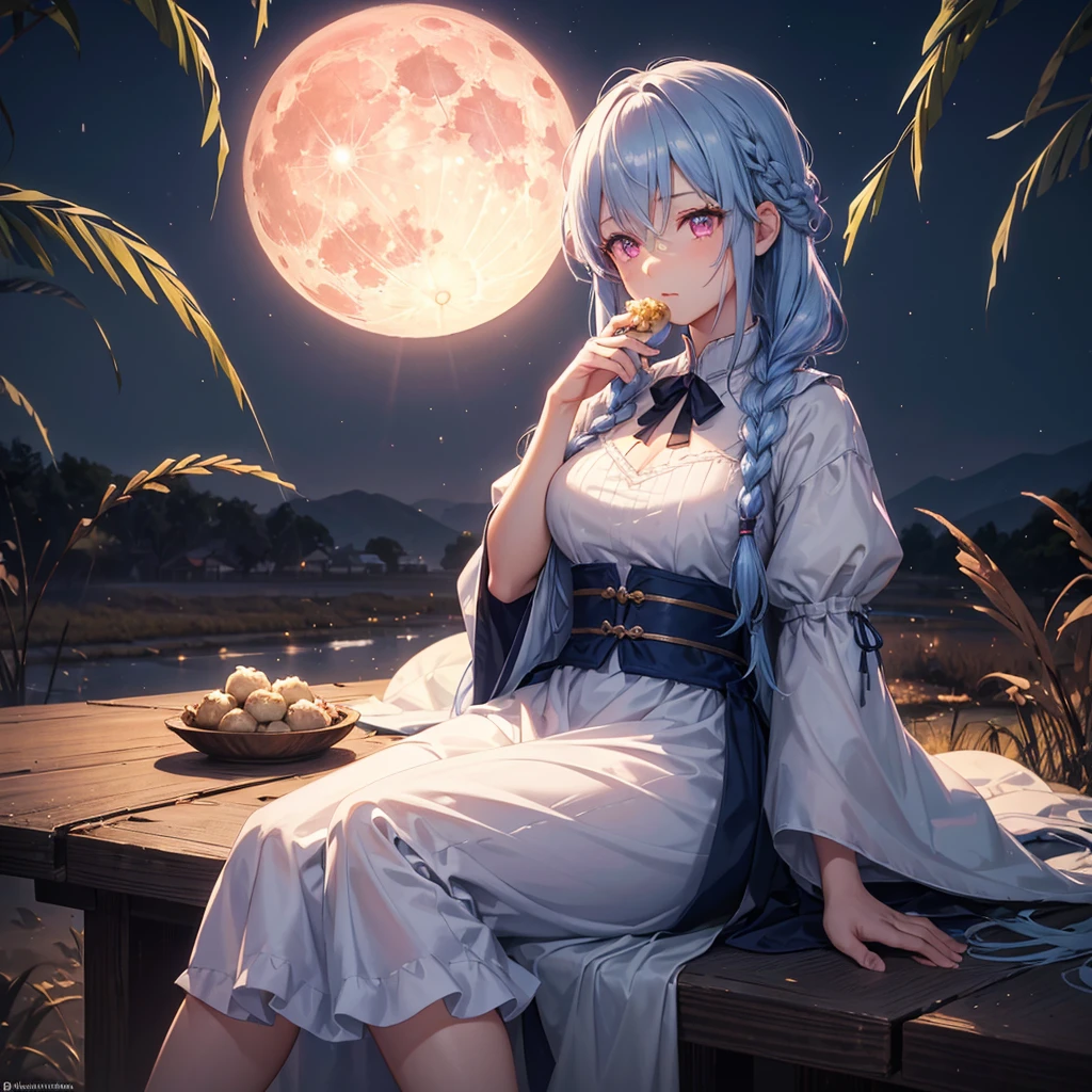 (Sky blue braided medium length hair), (Pink eyes),(Fair skin)  ,(whole body),(One Girl),(harvest moon),(A large amount of Miscanthus sinensis in the background),(full moon),(masterpiece, Highest quality, Very detailed, Best Shadow), (Detailed Background), (Beautifully detailed face), High Contrast, (Best lighting, Very delicate and beautiful), ((Cinematic Light)), Hyper Detail,8k, Dramatic Light, Intricate details,(sitting down to eat rice dumplings)