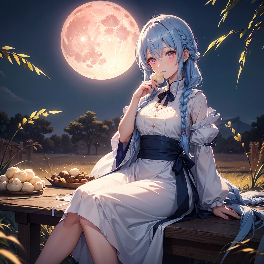 (Sky blue braided medium length hair), (Pink eyes),(Fair skin) ,(whole body),(One Girl),(harvest moon),(A large amount of Miscanthus sinensis in the background),(full moon),(masterpiece, Highest quality, Very detailed, Best Shadow), (Detailed Background), (Beautifully detailed face), High Contrast, (Best lighting, Very delicate and beautiful), ((Cinematic Light)), Hyper Detail,8k, Dramatic Light, Intricate details,(sitting down to eat rice dumplings)