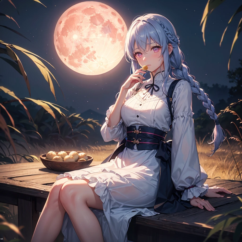 (Sky blue braided medium length hair), (Pink eyes),(Fair skin)  ,(whole body),(One Girl),(harvest moon),(A large amount of Miscanthus sinensis in the background),(full moon),(masterpiece, Highest quality, Very detailed, Best Shadow), (Detailed Background), (Beautifully detailed face), High Contrast, (Best lighting, Very delicate and beautiful), ((Cinematic Light)), Hyper Detail,8k, Dramatic Light, Intricate details,(sitting down to eat rice dumplings)