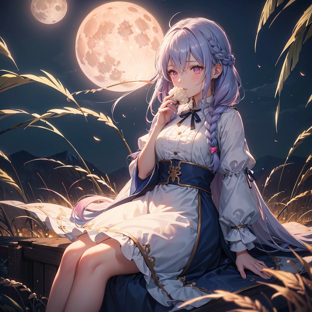 (Sky blue braided medium length hair), (Pink eyes),(Fair skin) ,(whole body),(One Girl),(harvest moon),(A large amount of Miscanthus sinensis in the background),(full moon),(masterpiece, Highest quality, Very detailed, Best Shadow), (Detailed Background), (Beautifully detailed face), High Contrast, (Best lighting, Very delicate and beautiful), ((Cinematic Light)), Hyper Detail,8k, Dramatic Light, Intricate details,(sitting down to eat rice dumplings)