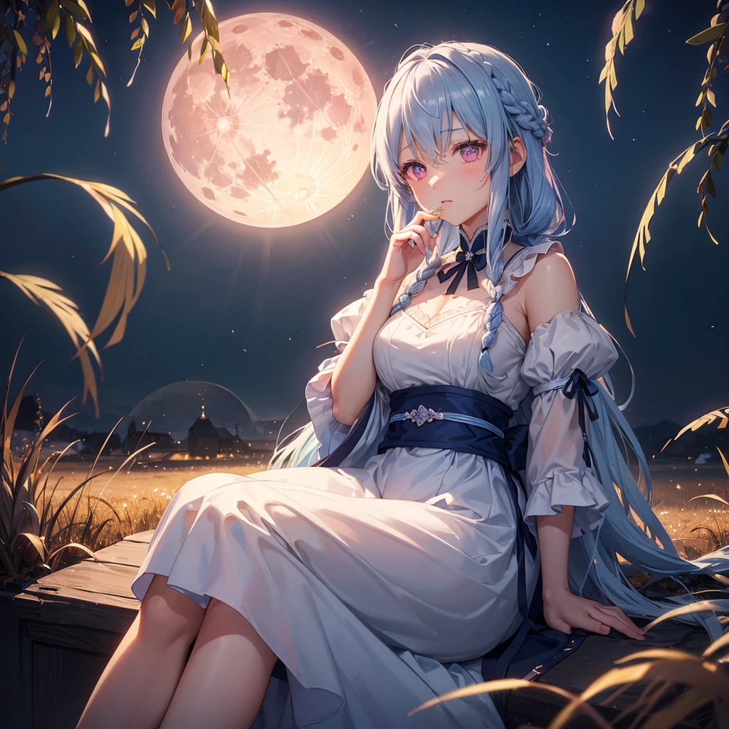 (Sky blue braided medium length hair), (Pink eyes),(Fair skin)  ,(whole body),(One Girl),(harvest moon),(A large amount of Miscanthus sinensis in the background),(full moon),(masterpiece, Highest quality, Very detailed, Best Shadow), (Detailed Background), (Beautifully detailed face), High Contrast, (Best lighting, Very delicate and beautiful), ((Cinematic Light)), Hyper Detail,8k, Dramatic Light, Intricate details,(sitting down to eat rice dumplings)