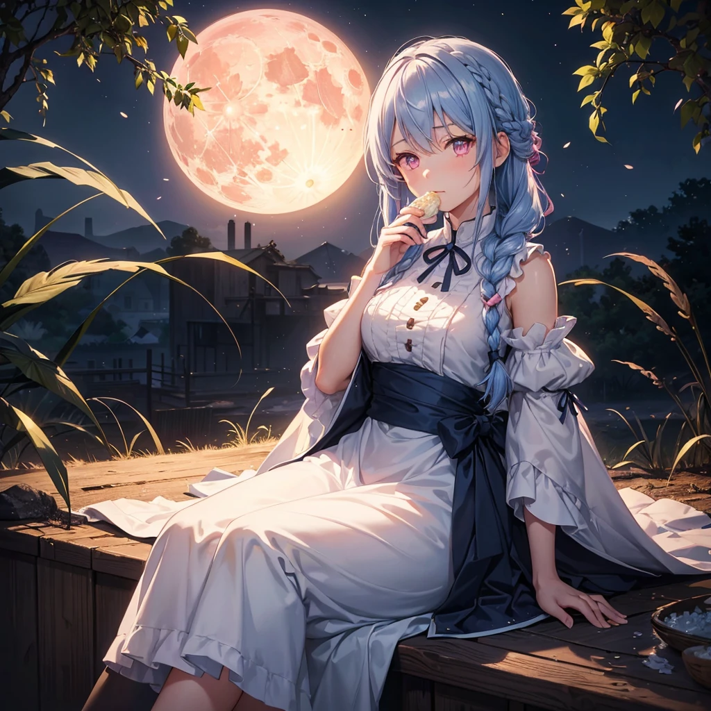 (Sky blue braided medium length hair), (Pink eyes),(Fair skin) ,(whole body),(One Girl),(harvest moon),(A large amount of Miscanthus sinensis in the background),(full moon),(masterpiece, Highest quality, Very detailed, Best Shadow), (Detailed Background), (Beautifully detailed face), High Contrast, (Best lighting, Very delicate and beautiful), ((Cinematic Light)), Hyper Detail,8k, Dramatic Light, Intricate details,(sitting down to eat rice dumplings)