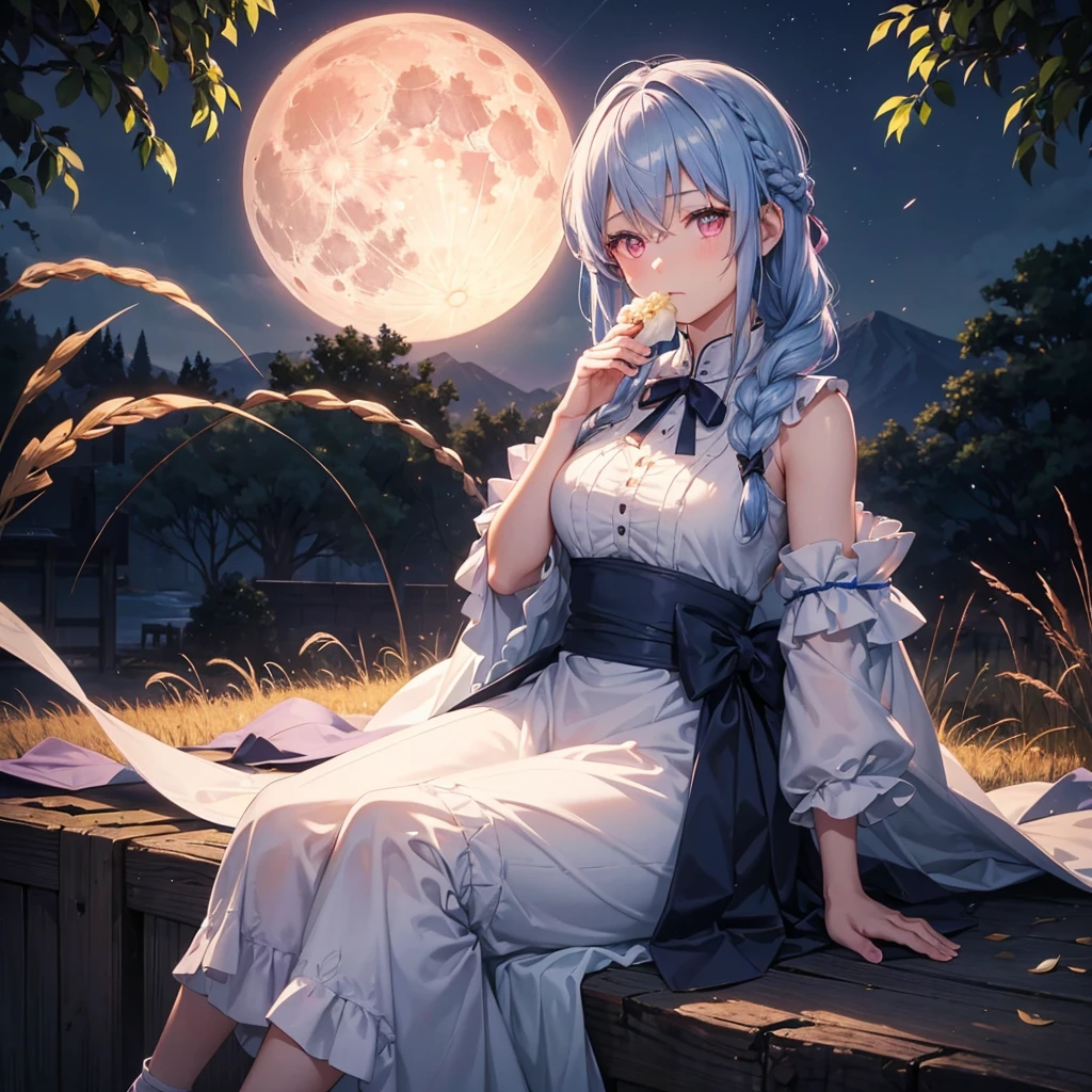 (Sky blue braided medium length hair), (Pink eyes),(Fair skin)  ,(whole body),(One Girl),(harvest moon),(A large amount of Miscanthus sinensis in the background),(full moon),(masterpiece, Highest quality, Very detailed, Best Shadow), (Detailed Background), (Beautifully detailed face), High Contrast, (Best lighting, Very delicate and beautiful), ((Cinematic Light)), Hyper Detail,8k, Dramatic Light, Intricate details,(sitting down to eat rice dumplings)