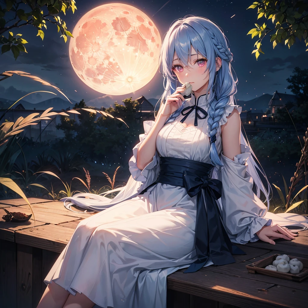 (Sky blue braided medium length hair), (Pink eyes),(Fair skin) ,(whole body),(One Girl),(harvest moon),(A large amount of Miscanthus sinensis in the background),(full moon),(masterpiece, Highest quality, Very detailed, Best Shadow), (Detailed Background), (Beautifully detailed face), High Contrast, (Best lighting, Very delicate and beautiful), ((Cinematic Light)), Hyper Detail,8k, Dramatic Light, Intricate details,(sitting down to eat rice dumplings)