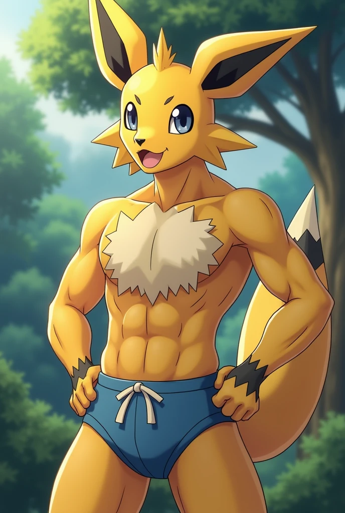 You can make a zeraora in underwear showing his member 