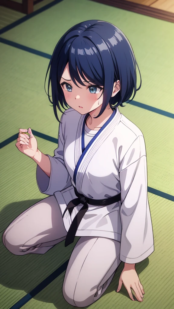 ((masterpiece, Highest quality, Very detailed, Very nice 8K CG wallpaper)), , A little thick, Medium Hair, Navy Blue Hair, short hair, Dark blue eyes,judo player、長袖judo着、Large bust、ロングjudoパンツ、judo、Cute expression、Inside the judo Gymnasium、、On the tatami、discovery、One Girl、sit、rest、Hoshino Ichika、Bust Size D Cup、Eat yakisoba bread、Sweating