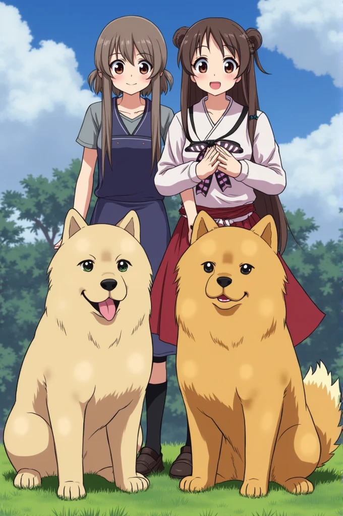 Two chow chow dogs with Kaedehara Kazuha from Genshin Impact