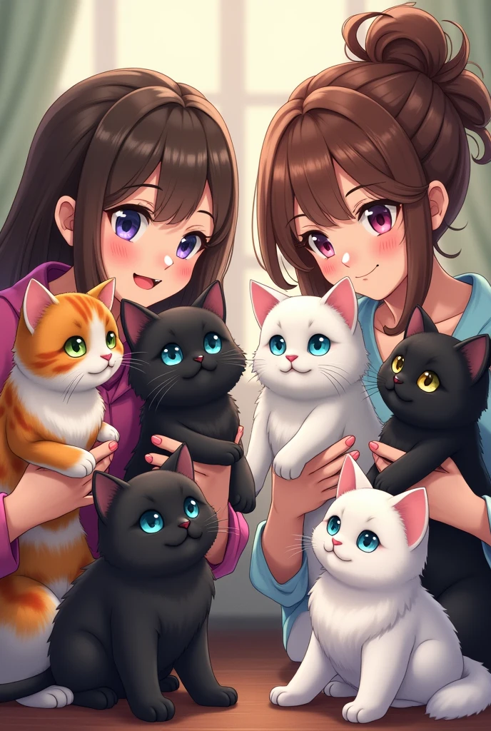 One bicolour cat, one calico fluffy cat, one black fluffy cat, one black cat, one white cat with blue eye colour, one white fat cat and two woman holding them.