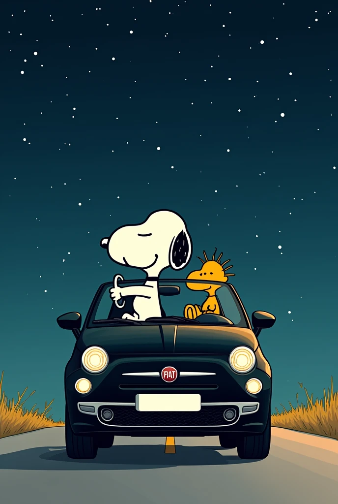 Snoopy and his friend the bird  ( just the two of them ) in a car and Snoopy is driving and his bird is co-pilot and I want it to look from the front as if the car was going straight towards you and the car is black, Fiat brand and has a starry night in the background, 2D image Make it simpler like a drawing and I want it to be a hatchback style car and not a car without a roof and that Snoopy and the bird look like their original design and the bird is seen in profile like its 2D style I want Snoopy and his friend the bird to look like the originals and that the photo has a 2D style as if it were a drawing and in the photo Snoopy is driving and his friend the bird is the co-pilot I don&#39;t want anyone else in the car and they crashed into a wall 