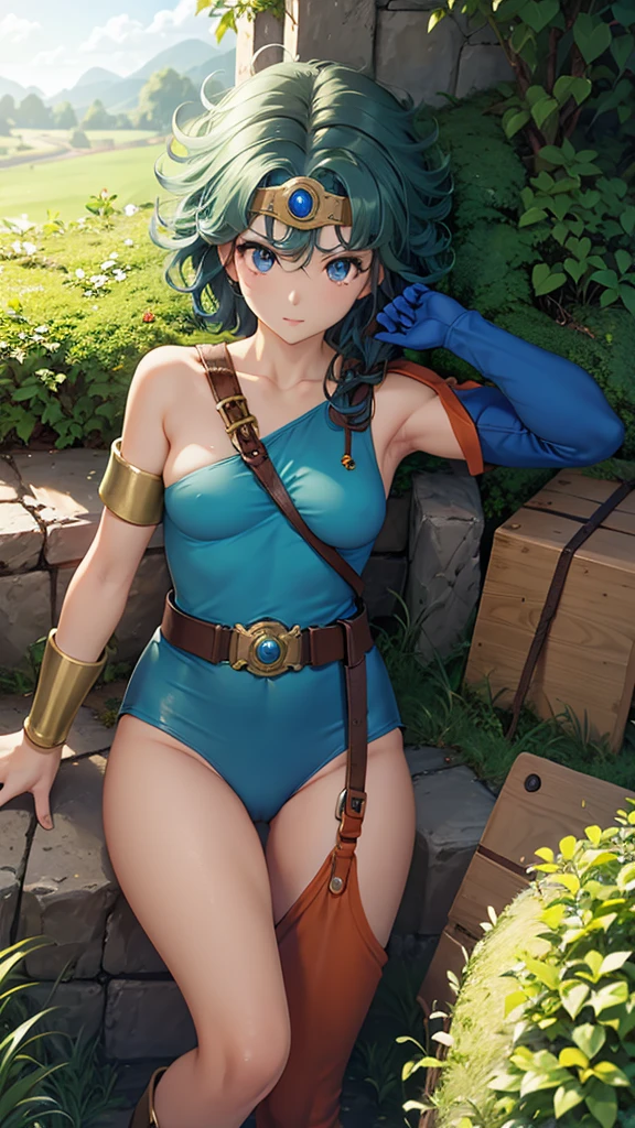 (((SFW、sound、Highest quality、First class work、Normal body、、Detailed face、Ultra-precision、Normal hand、通常のrefer to、5refer to、Highest)))、beautiful girl、Black Hair、yamato nadeshiko、Small breasts、Shortcuts、Blue leotard、Shoulder Off、Black paleo skirt、Red Cape、Circlet、Bastard sword、shield、Dragon Quest、grassland、Depict every detail、Noise is kept to a minimum