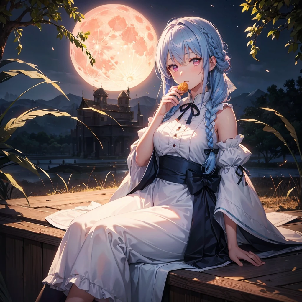 (Sky blue braided medium length hair), (Pink eyes),(Fair skin) ,(whole body),(One Girl),(harvest moon),(A large amount of Miscanthus sinensis in the background),(full moon),(masterpiece, Highest quality, Very detailed, Best Shadow), (Detailed Background), (Beautifully detailed face), High Contrast, (Best lighting, Very delicate and beautiful), ((Cinematic Light)), Hyper Detail,8k, Dramatic Light, Intricate details,(sitting down to eat rice dumplings)